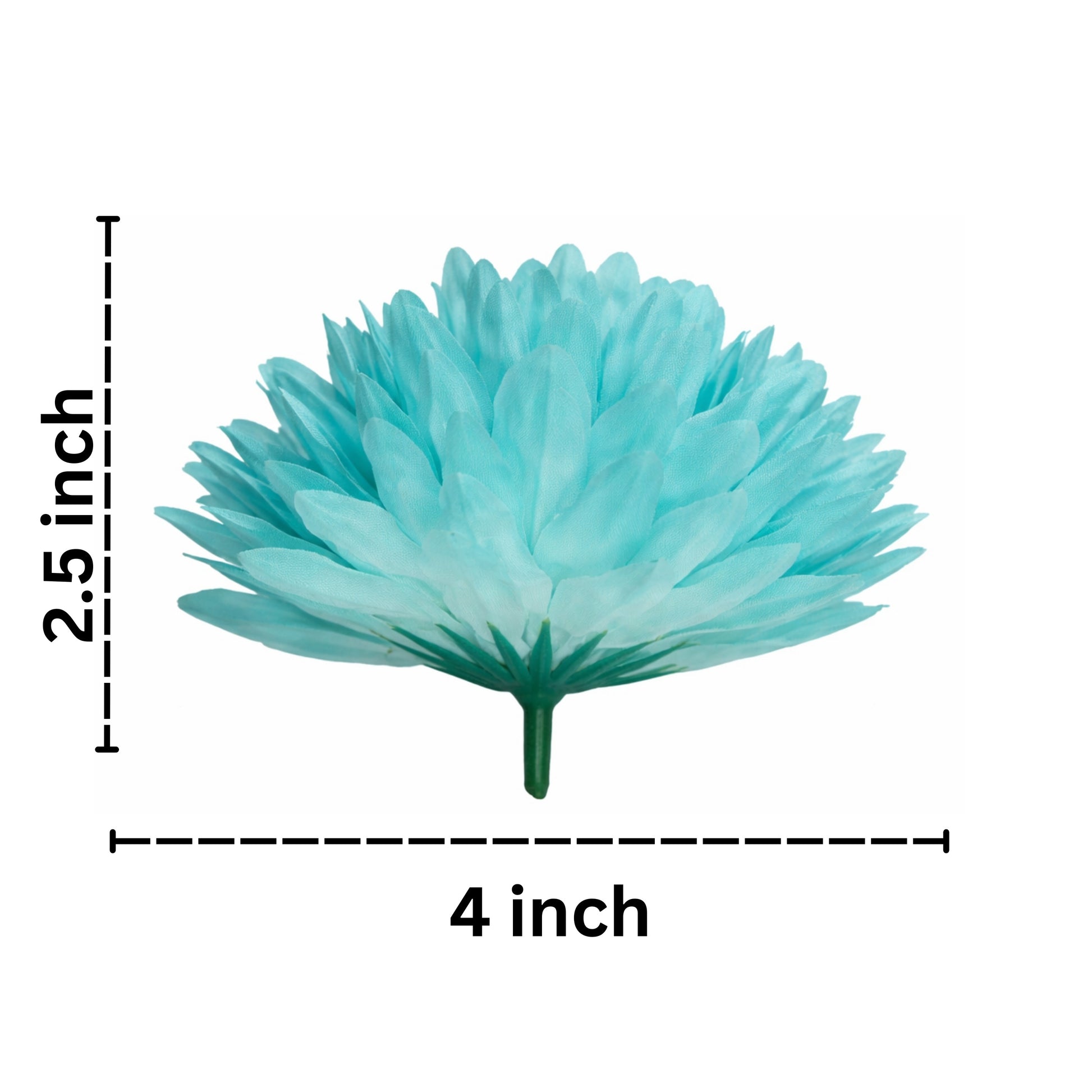 Turquoise flower with measurements on a white background