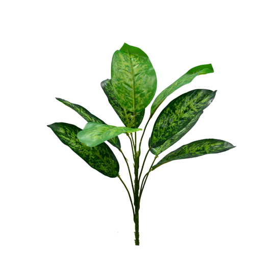 Artificial Dieffenbachia Bunch D/s Green (Pack of 5)