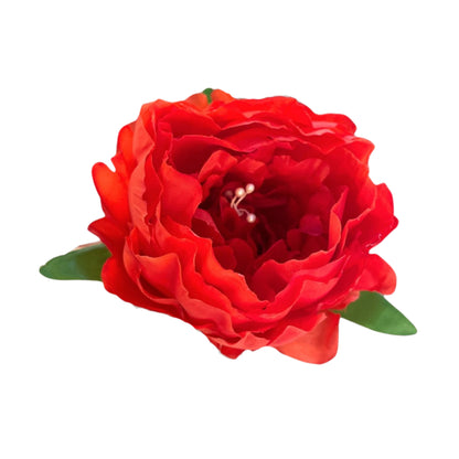 Dark Red Coral Peony (Pack of 50)