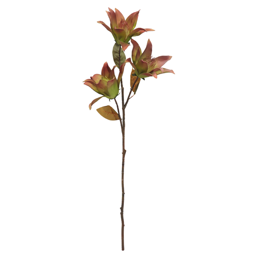 Protea Stick 3 Head 107cm Green Brown (Pack of 10)