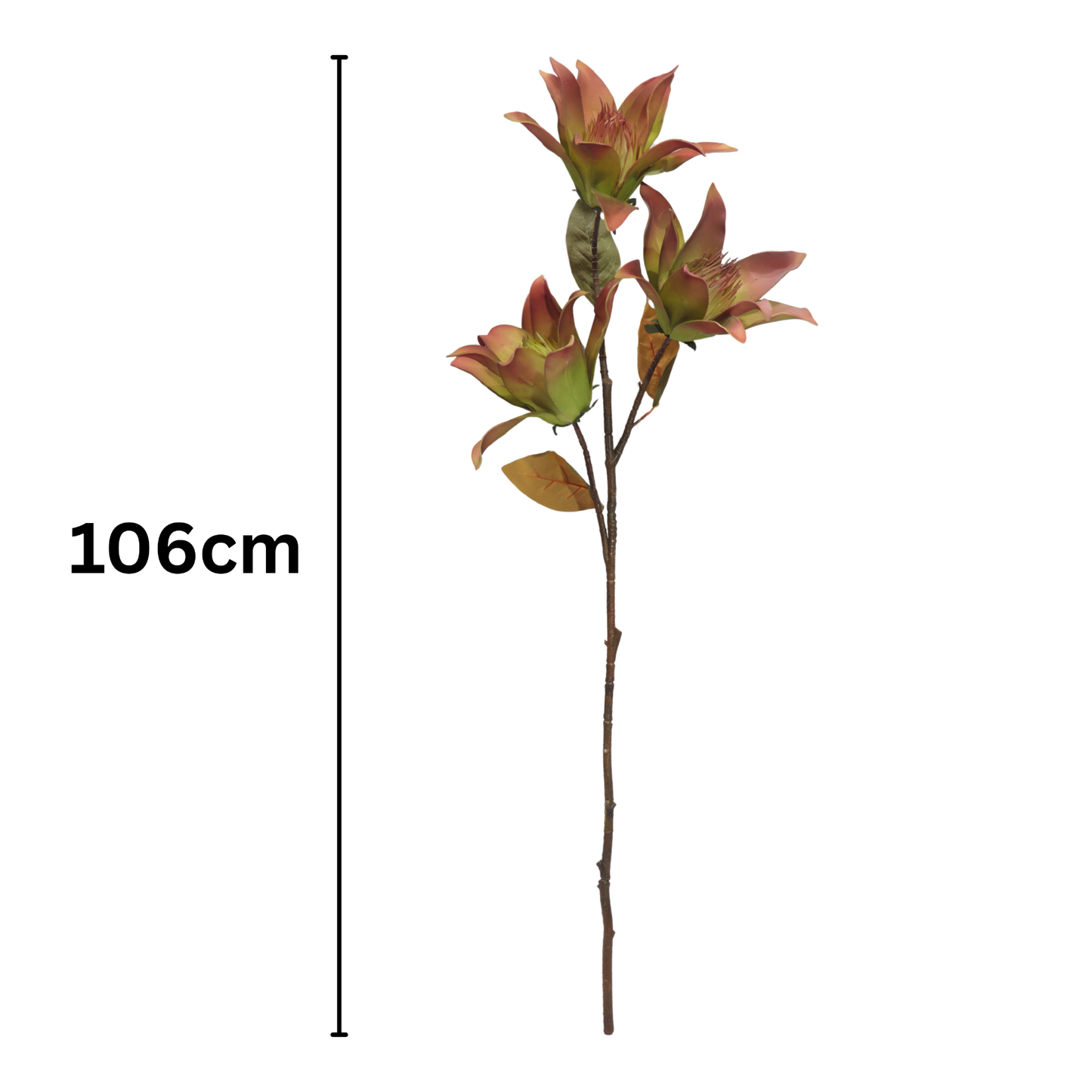 Protea Stick 3 Head 107cm Green Brown (Pack of 10)