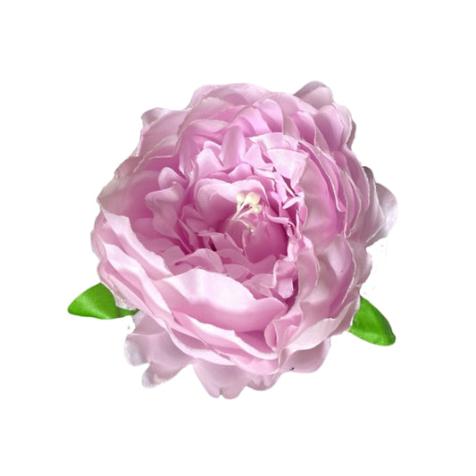 Lavender Coral Peony (Pack of 50)