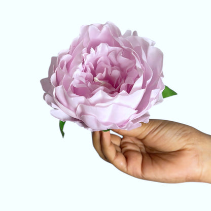 Lavender Coral Peony (Pack of 50)