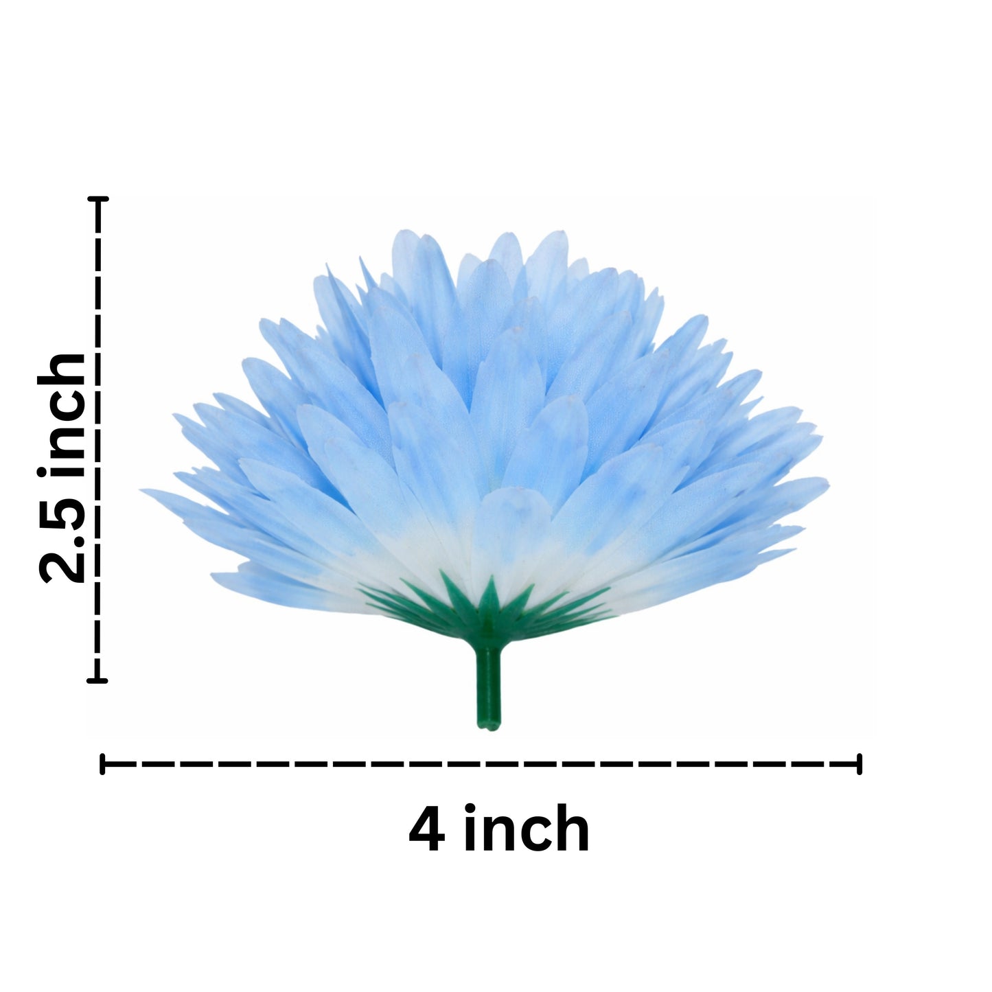 Blue flower with measurements on a white background