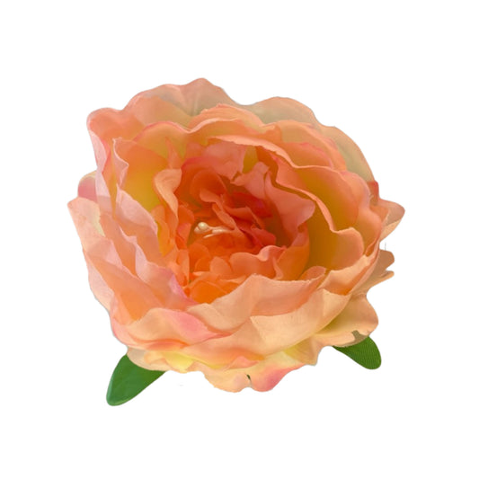 Light Peach Coral Peony (Pack of 50)