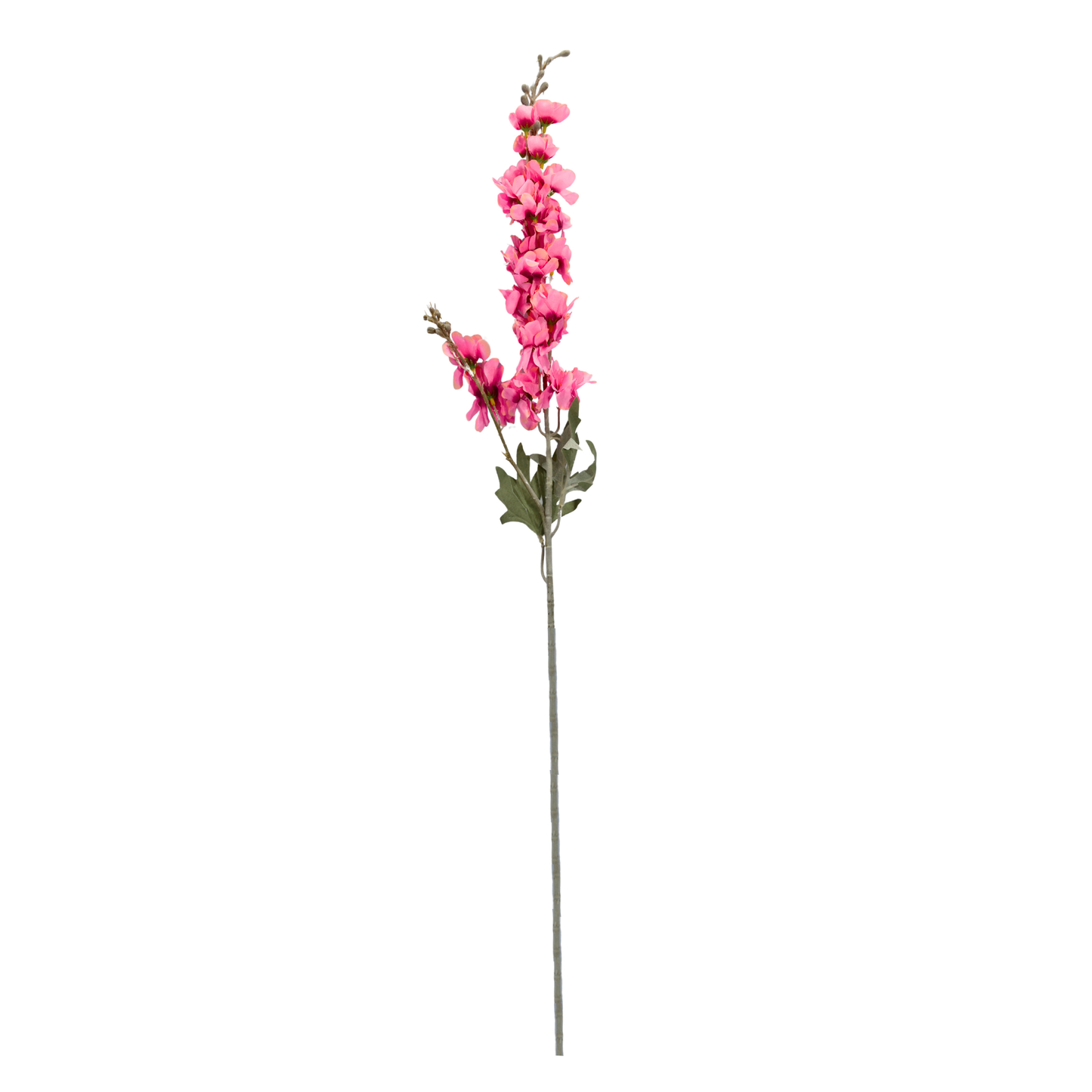 Delphinium Stick 23 Head 85cm Magenta (Pack of 10)