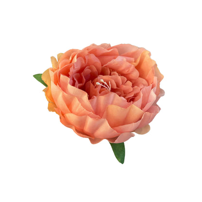 Light Pink Coral Peony (Pack of 50)