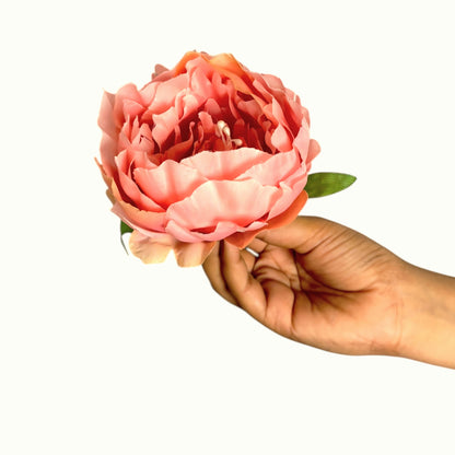 Light Pink Coral Peony (Pack of 50)