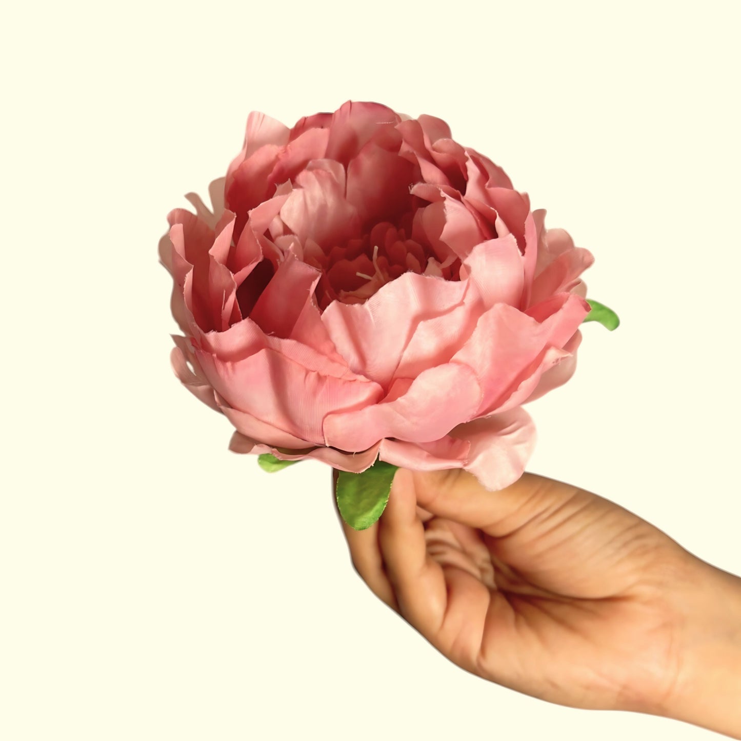 Rose Gold Coral Peony (Pack of 50)