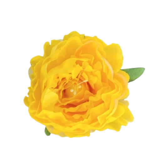 Yellow Coral Peony (Pack of 50)