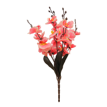 Cymbidium Bunch 17" Pink Red (Pack of 5)