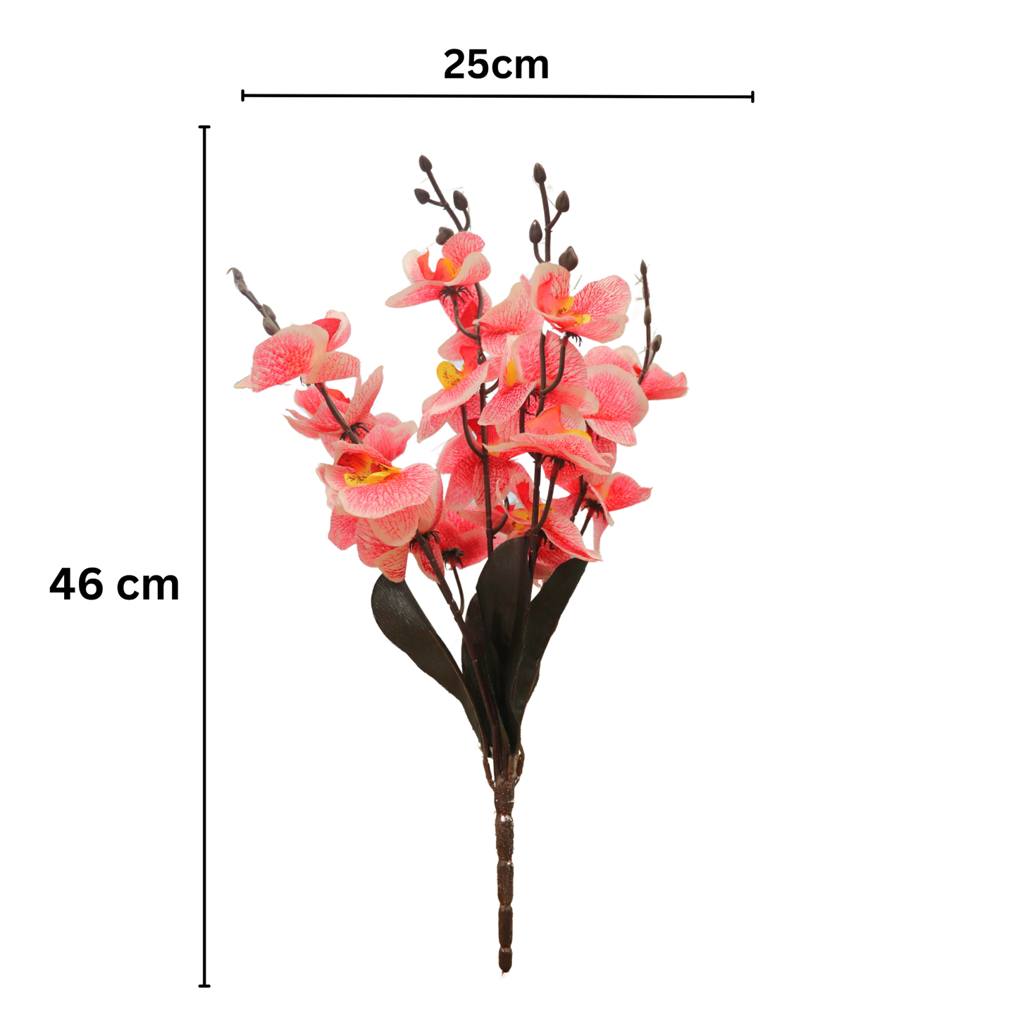 Cymbidium Bunch 17" Pink Red (Pack of 5)