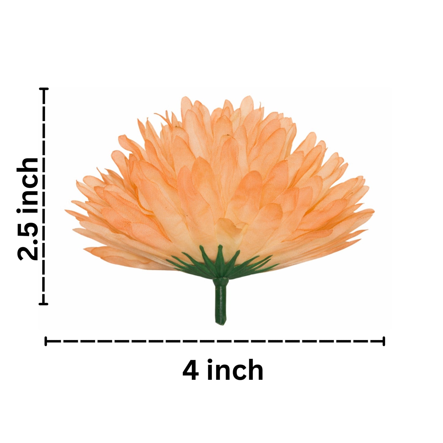 Orange artificial flower with measurements on a white background