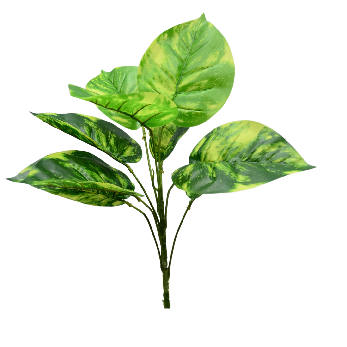 Artificial Dieffenbachia Bunch Dark Green (Pack of 5)