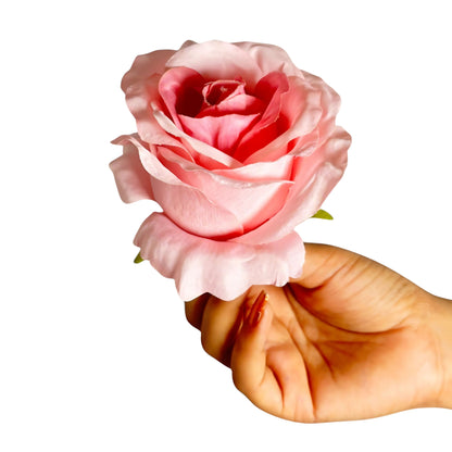 Cream MR20 Rose (Pack of 50)