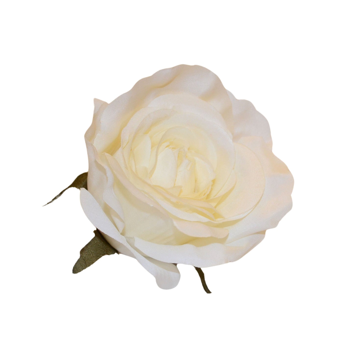 D/S white MR20 Rose (Pack of 50)