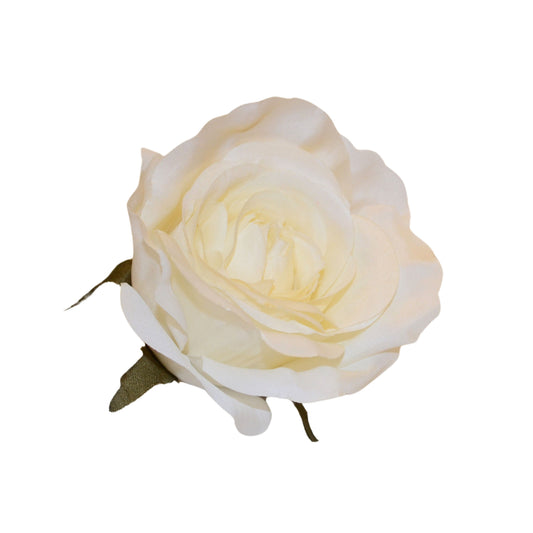 D/S white MR20 Rose (Pack of 50)