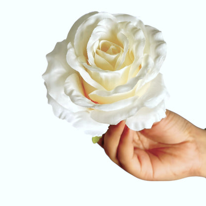 D/S white MR20 Rose (Pack of 50)