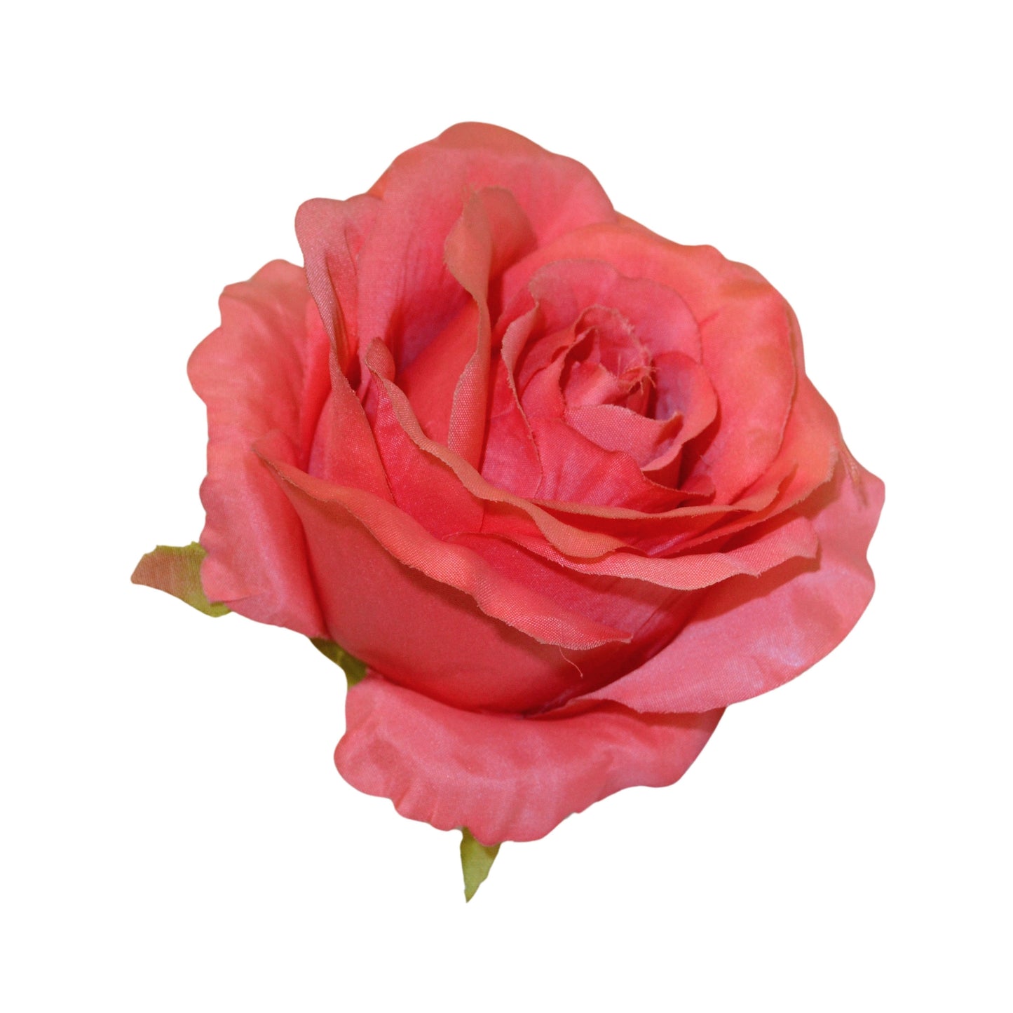 Gajri MR20 Rose (Pack of 50)