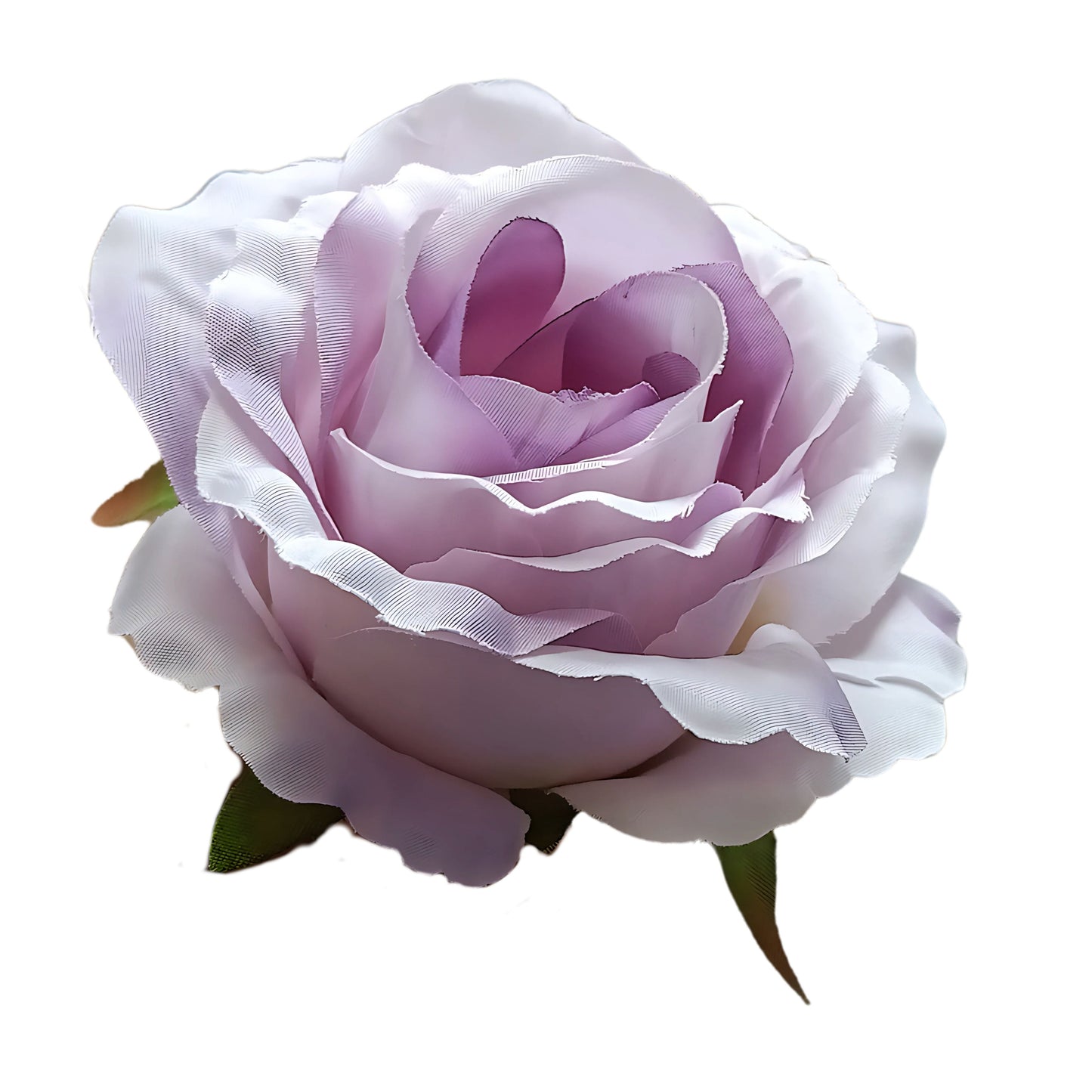 Lavender MR20 Rose (Pack of 50)