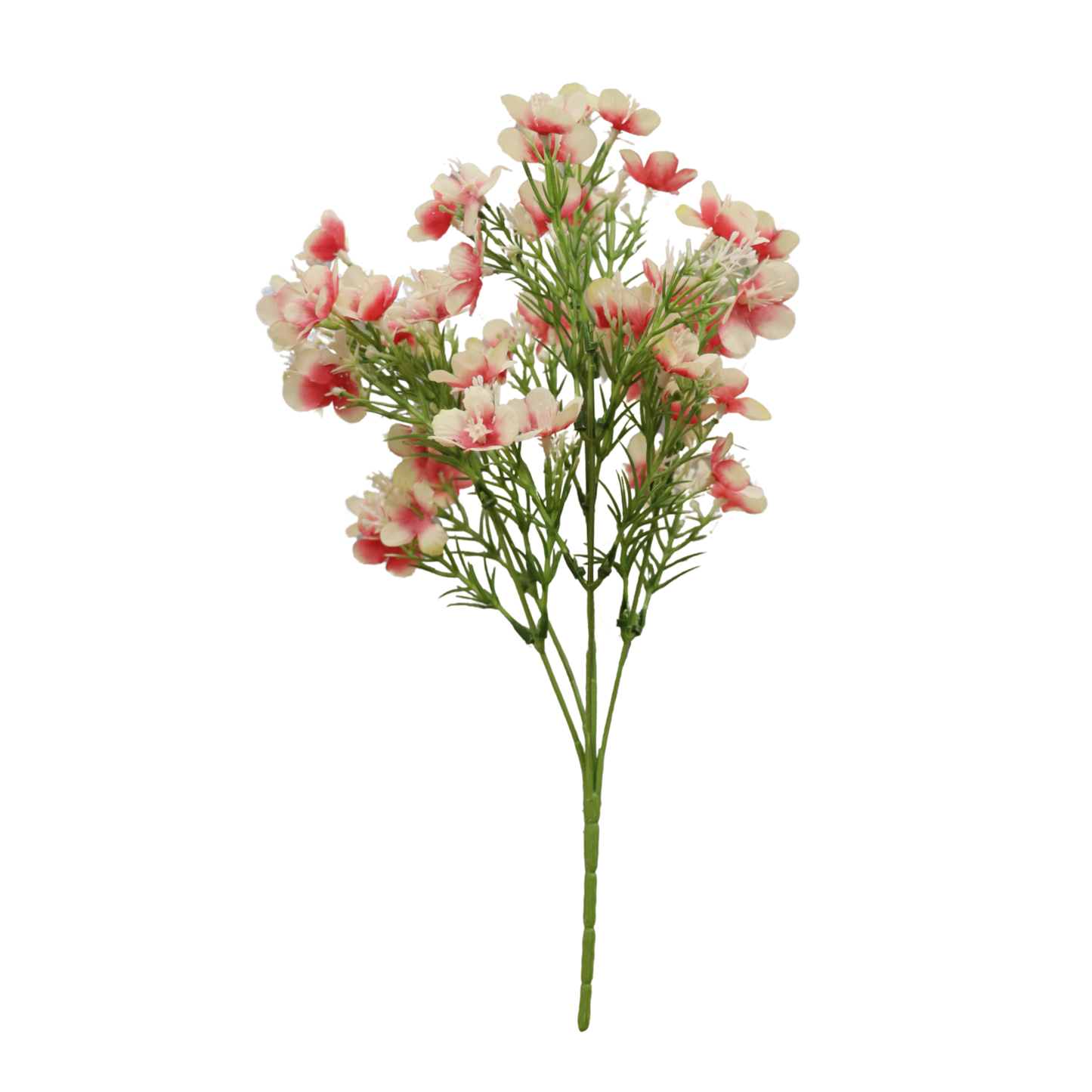 Oleander Flower Bunch Pink White (Pack of 5)
