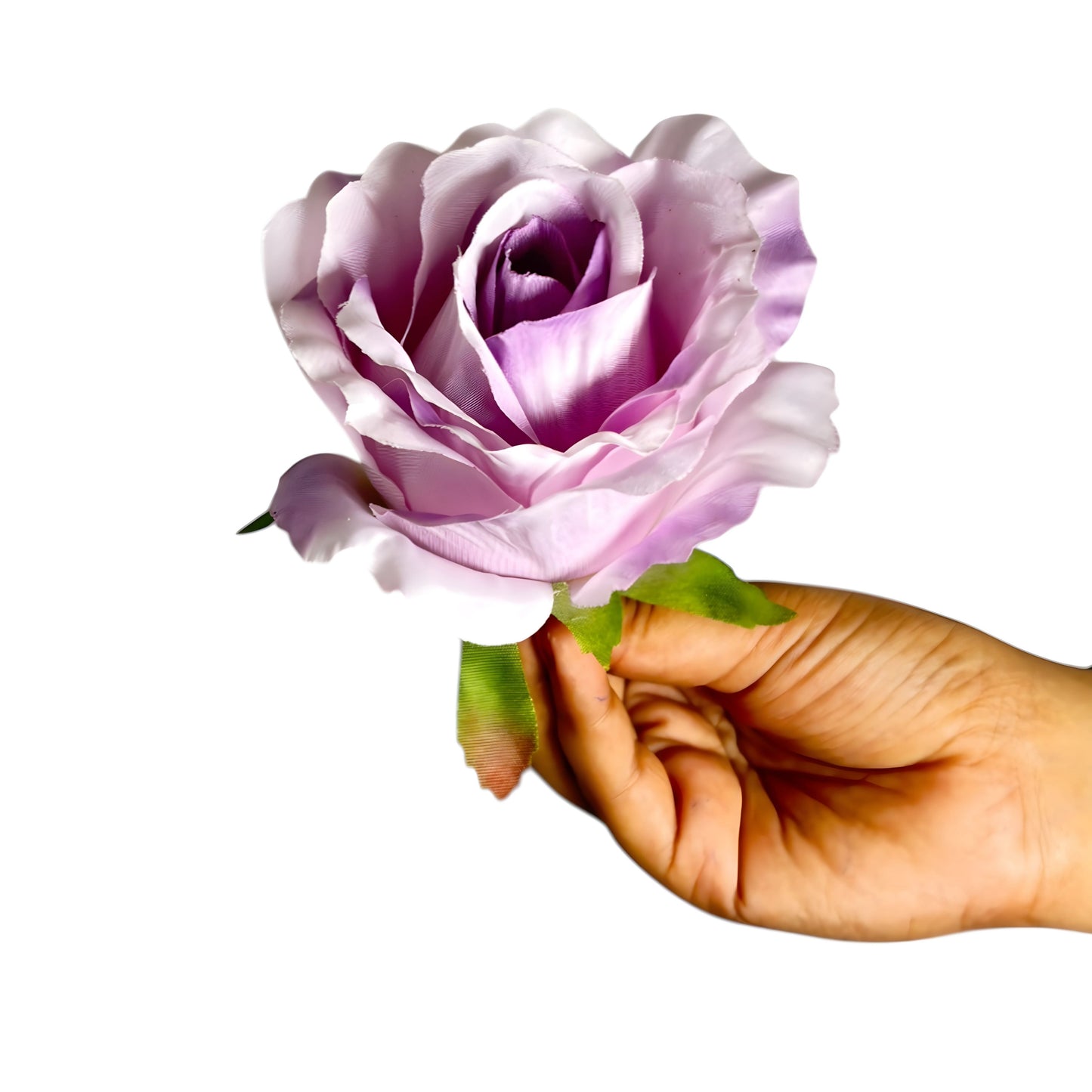 Lavender MR20 Rose (Pack of 50)