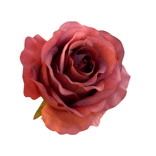 New Mehroom white MR20 Rose (Pack of 50)