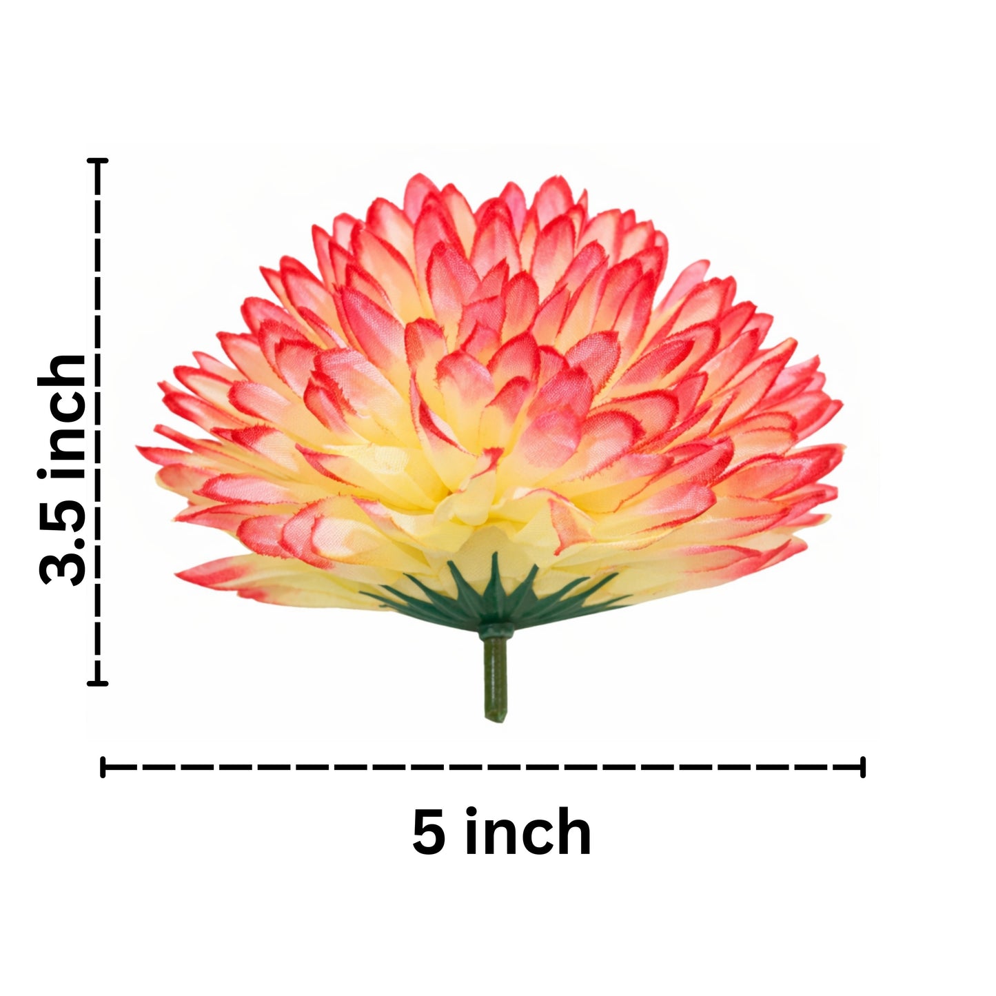 Flower with dimensions labeled on a white background