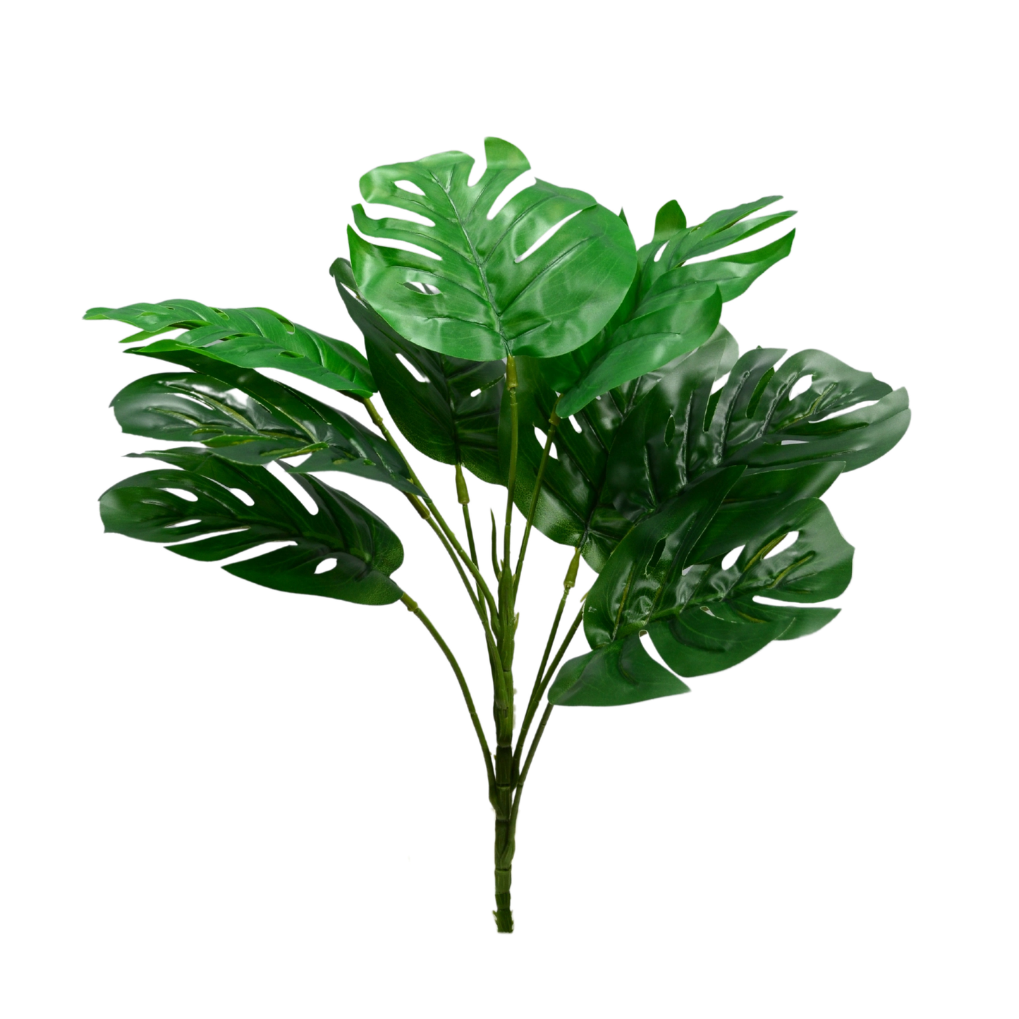 Bunch Monstera Stick 9 Head Green (Pack of 5)