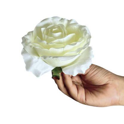 New off White MR20 Rose (Pack of 50)