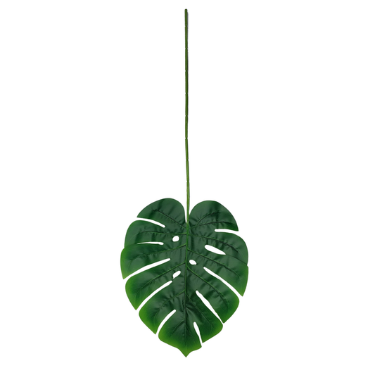 Monstera Leaf Stick 28"x10" Dark Green (Pack of 10)