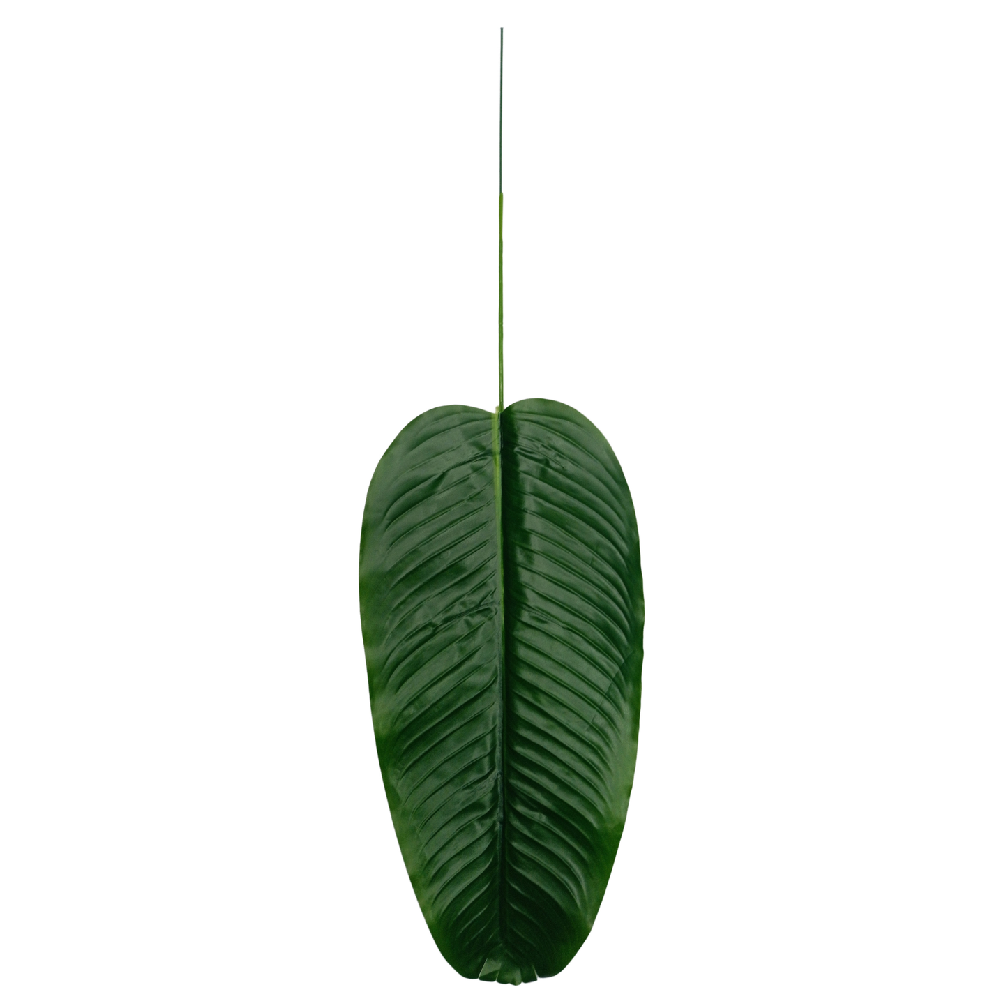 Leaf Stick Banana 63x19 cm Green (Pack of 10)