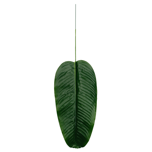 Leaf Stick Banana 63x19 cm Green (Pack of 10)