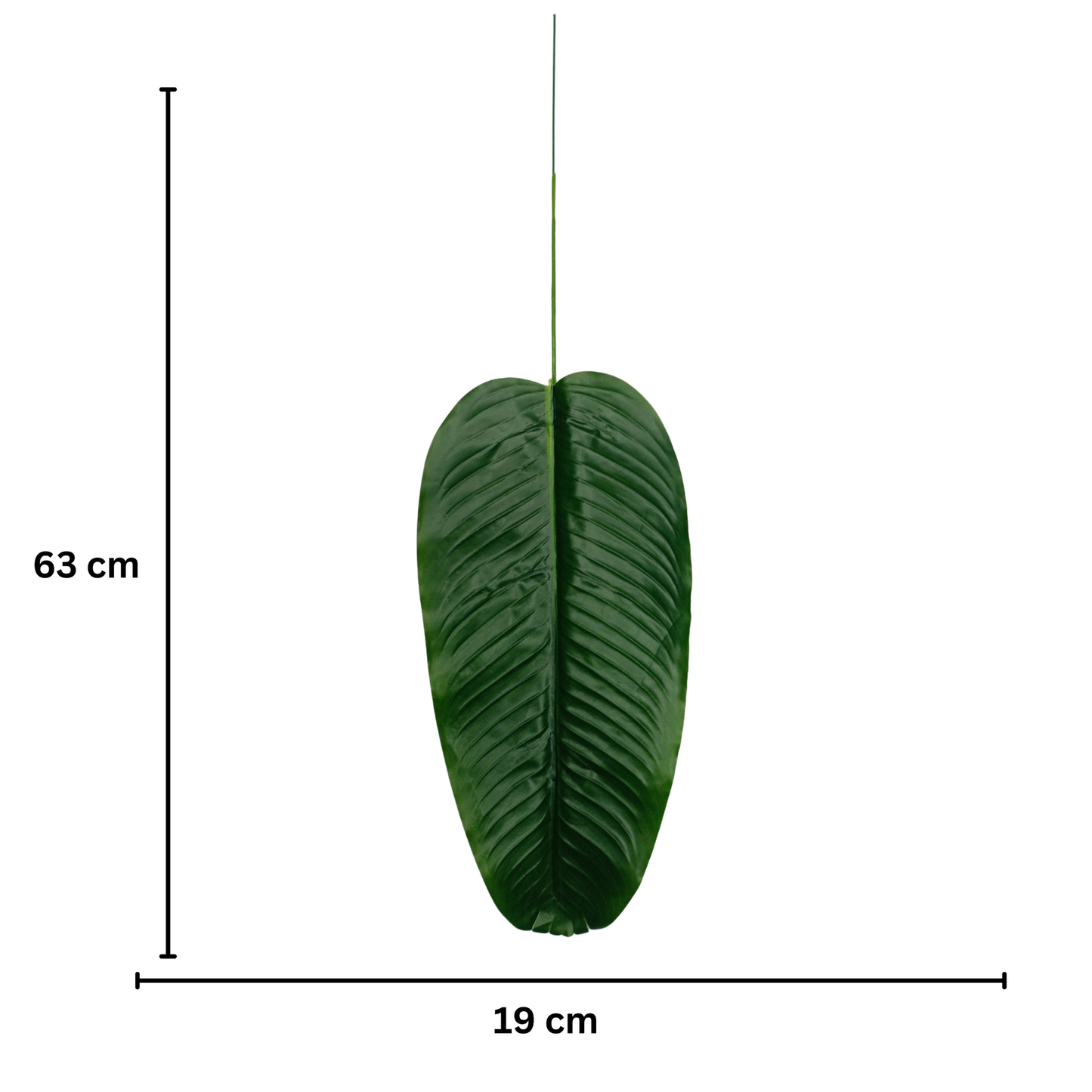 Leaf Stick Banana 63x19 cm Green (Pack of 10)