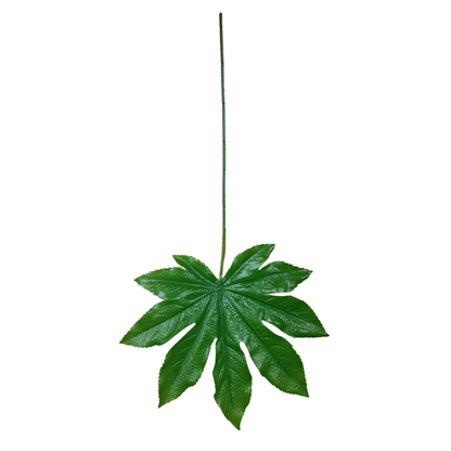 Leaf Stick Mapple 45x24 cm Green (Pack of 10)