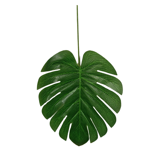 Leaf Stick Monstera 31x15 cm Green (Pack of 10)