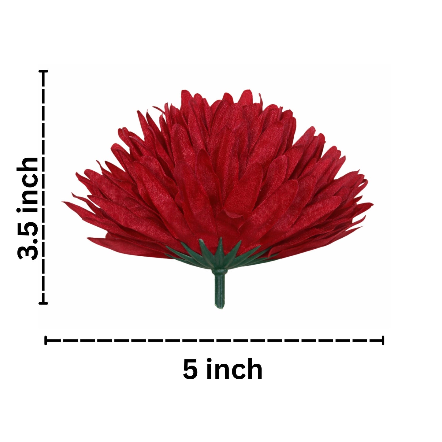Red flower with dimensions labeled on a white background