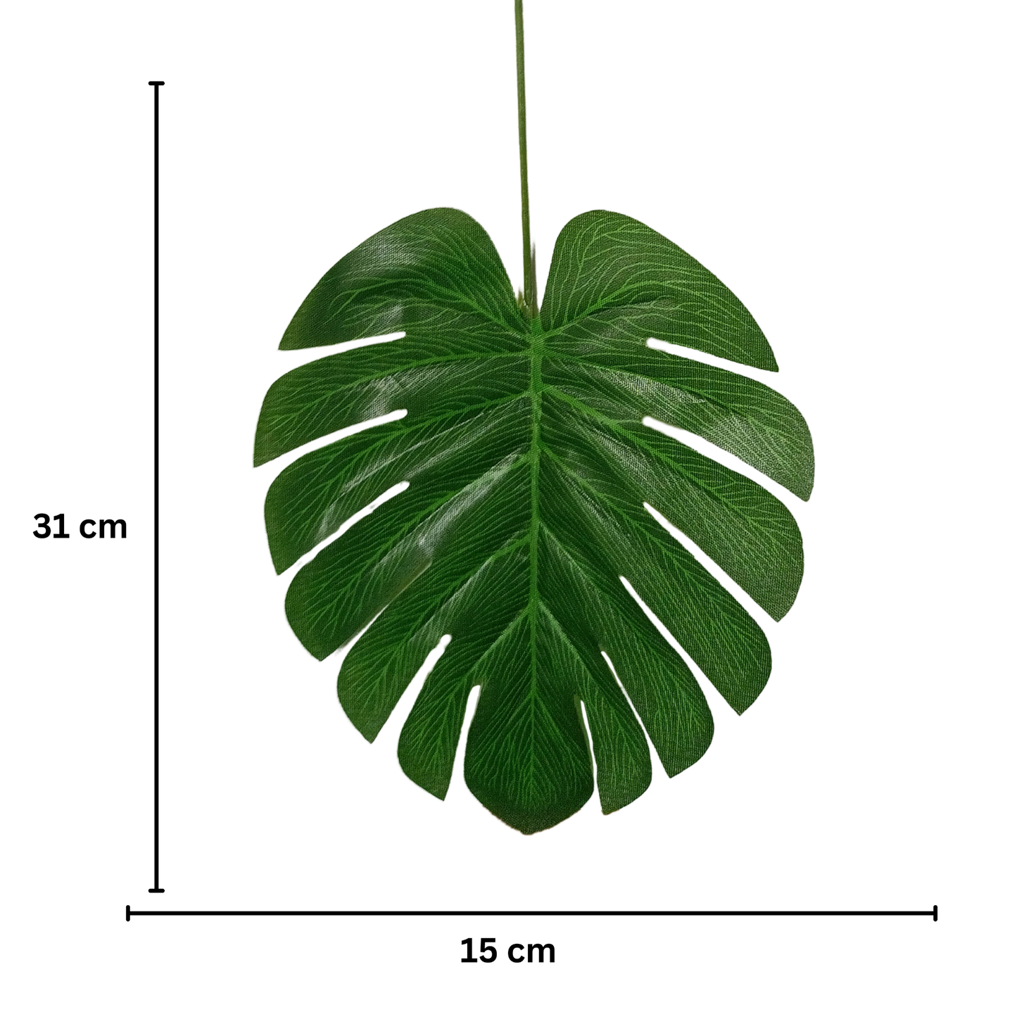 Leaf Stick Monstera 31x15 cm Green (Pack of 10)