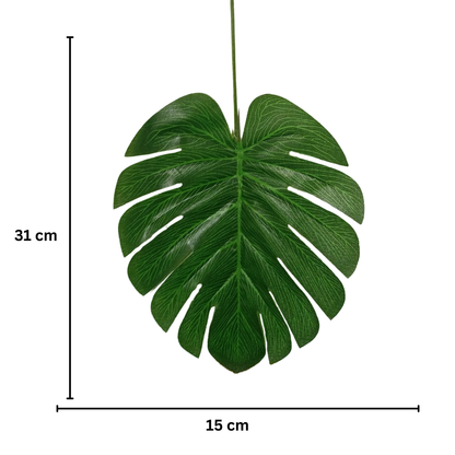 Leaf Stick Monstera 31x15 cm Green (Pack of 10)