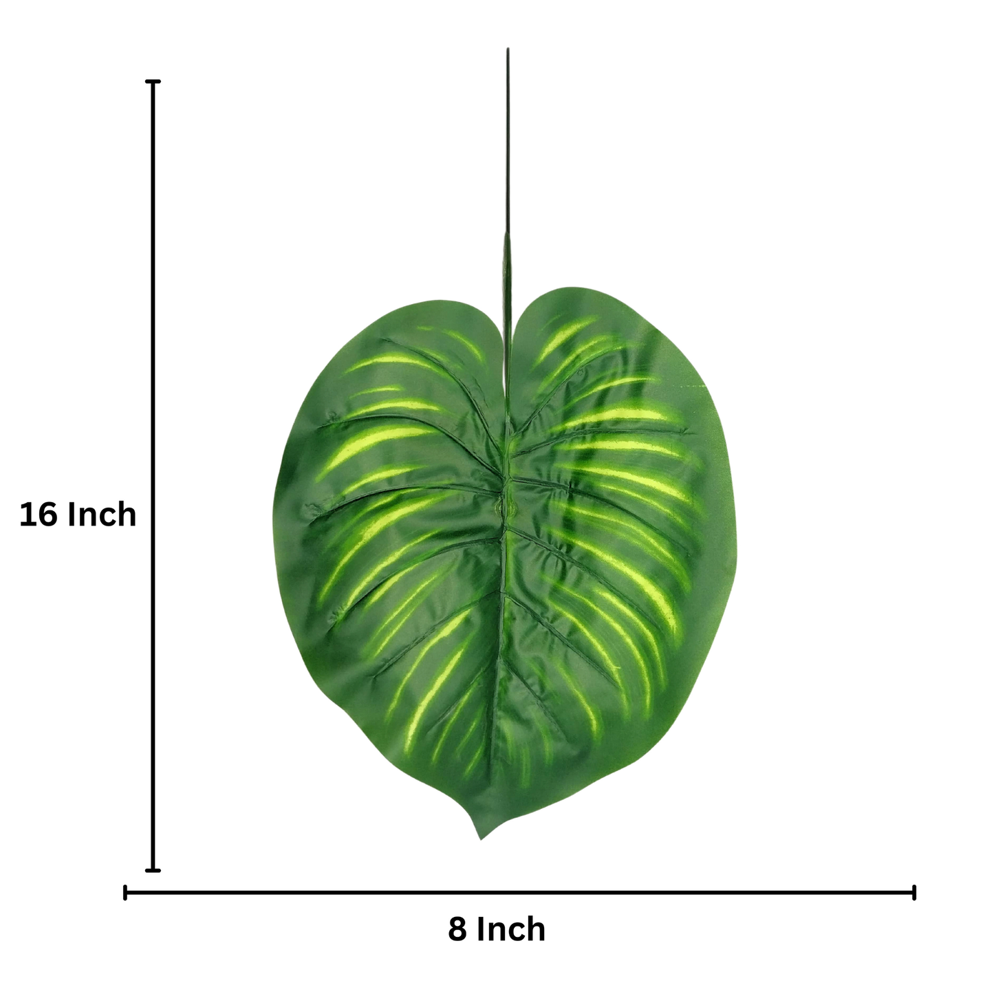 Melon Leaf 16" x 8" D/s Green (Pack of 10)