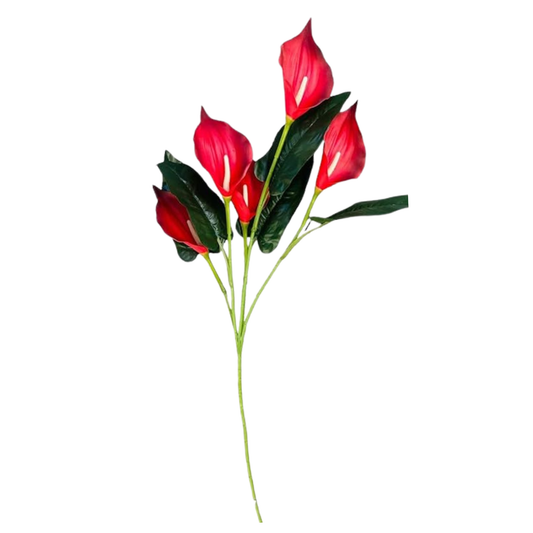 Bunch Cala Lily 5Stick 24.5" Red (Pack of 5)