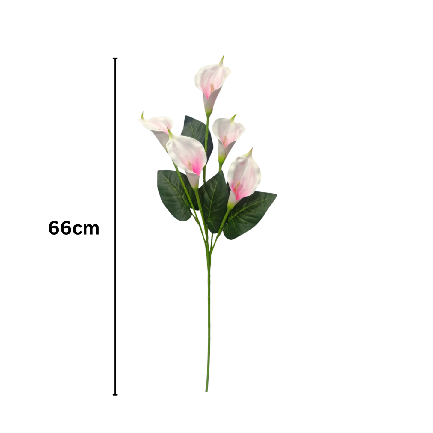 Bunch Cala Lily 5Stick 24.5" Pink White (Pack of 5)