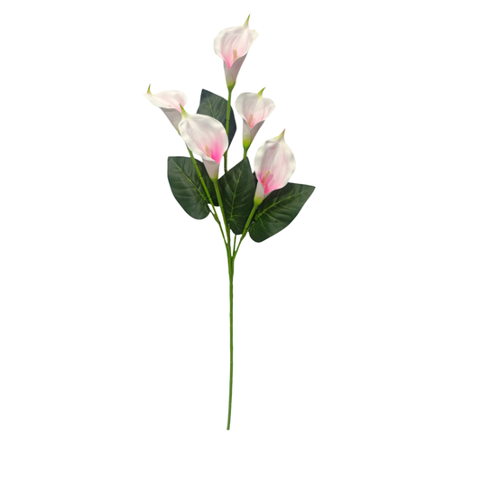 Bunch Cala Lily 5Stick 24.5" Pink White (Pack of 5)