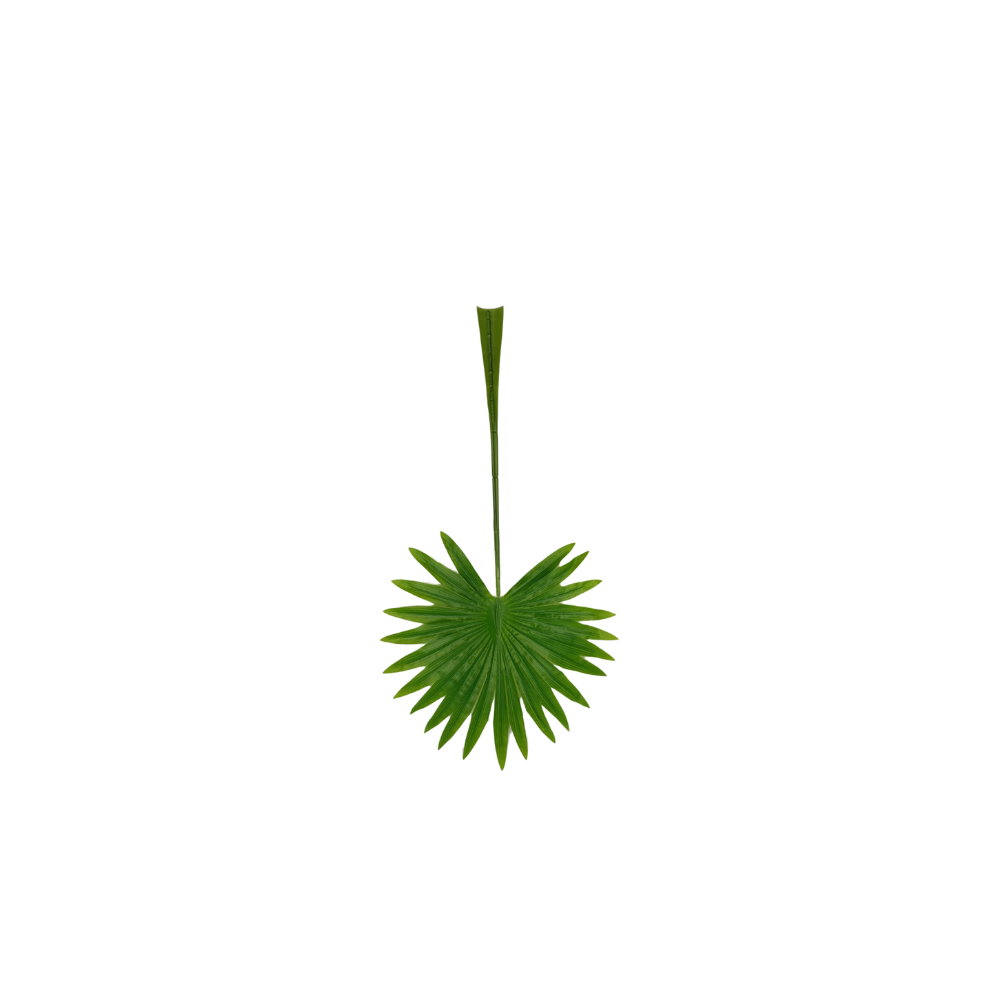 Palm Leaf Round 17" x 9" Green (Pack of 10)