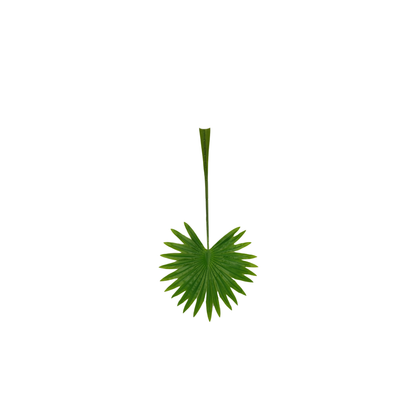 Palm Leaf Round 17" x 9" Green (Pack of 10)
