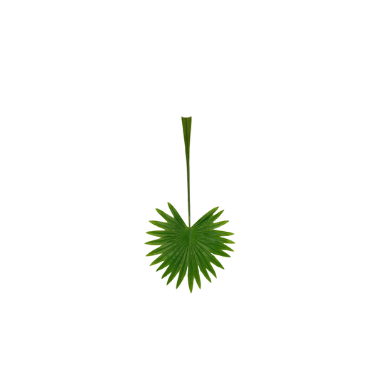 Palm Leaf Round 17" x 9" Green (Pack of 10)