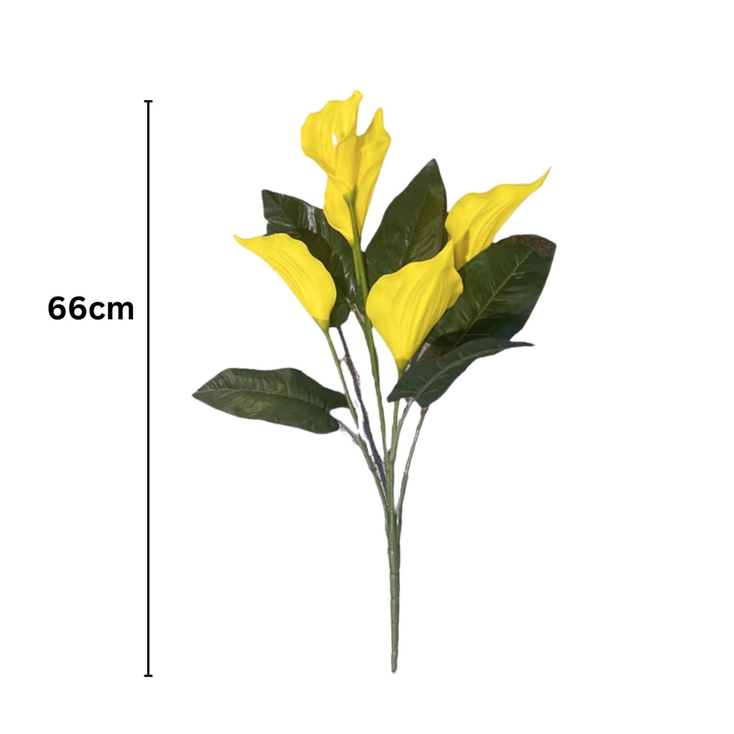 Bunch Cala Lily 5Stick 24.5" Yellow (Pack of 5)