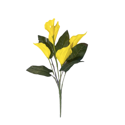 Bunch Cala Lily 5Stick 24.5" Yellow (Pack of 5)