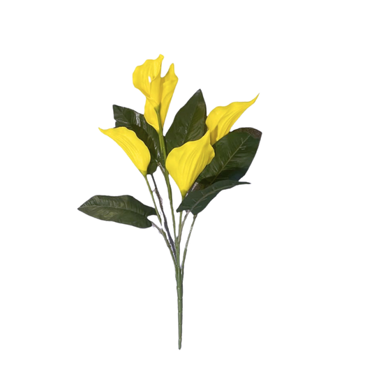 Bunch Cala Lily 5Stick 24.5" Yellow (Pack of 5)