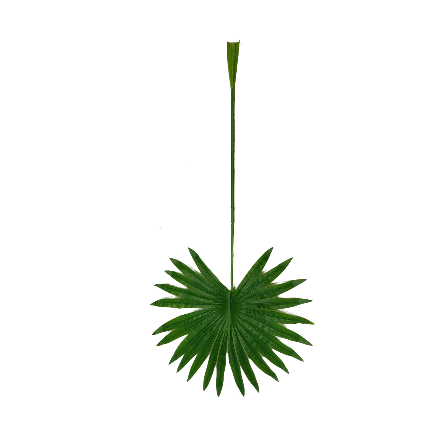 Palm Leaf Round 30" x 15" Green (Pack of 10)